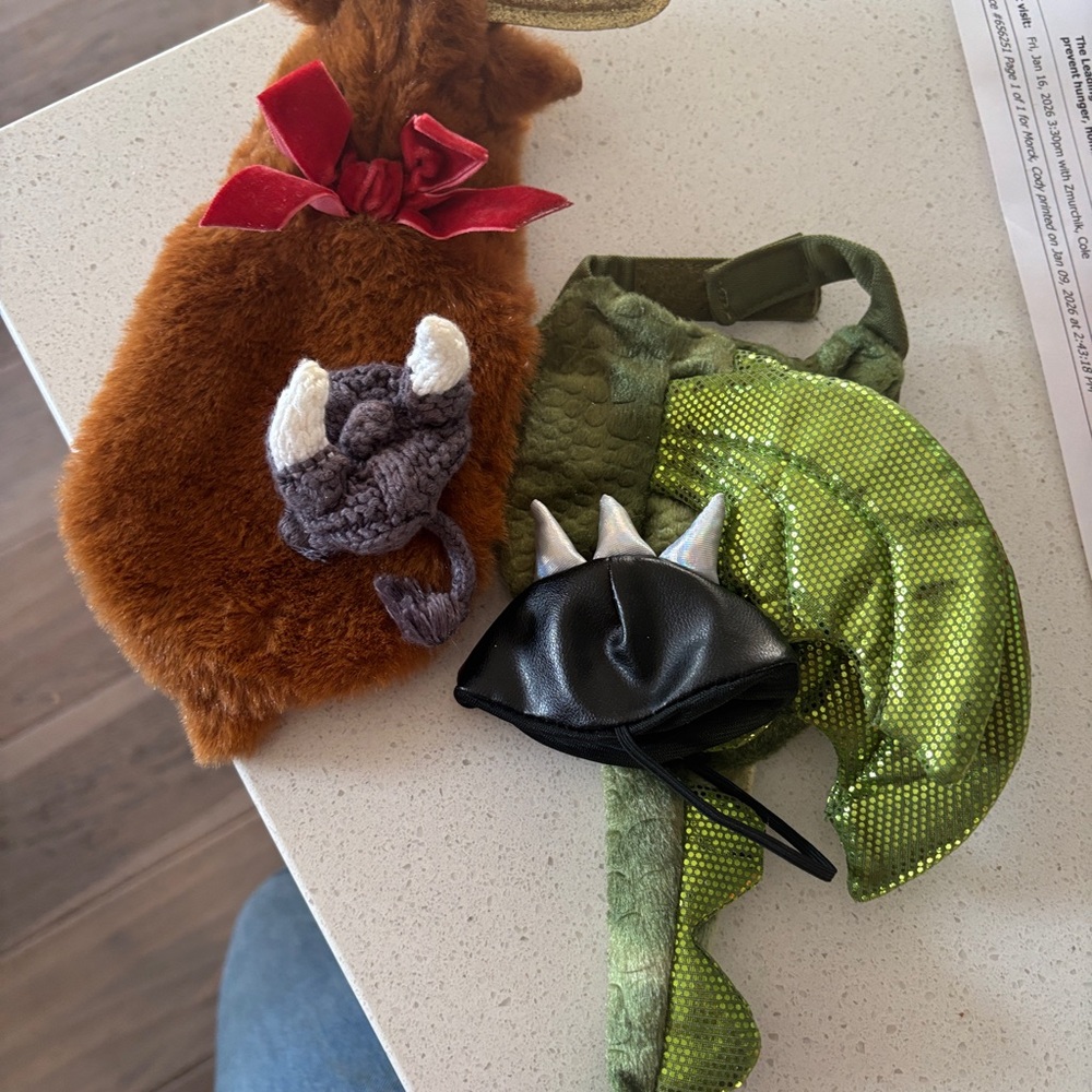 Bearded dragon / lizard Animal Costume 2 Sets plus two has (Viking and spikes)